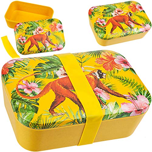 alles-meine.de GmbH Kunststoff - Lunchbox/Brotdose - Dschungel Tiere - AFFE - BPA frei - mit Gummiband - Brotbüchse Küche Essen - für Erwachsene & Kinder - Mädchen Jungen - VES.. von alles-meine.de GmbH