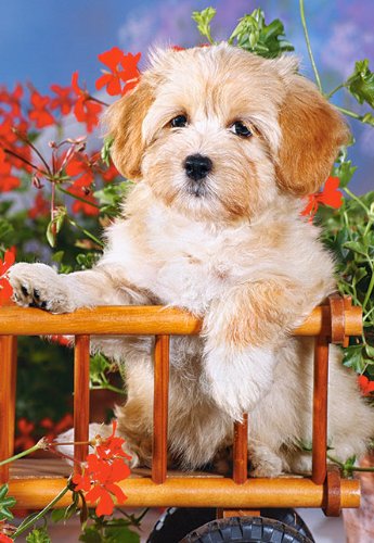 alles-meine.de GmbH Puzzle 60 Teile - Hund - Welpe mit Blumen - Kinderpuzzle für Kinder - Hunde Tiere Tierkinder Tier von alles-meine.de GmbH