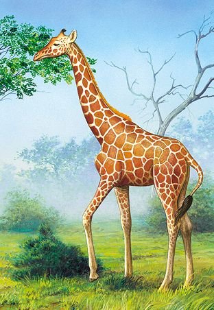 alles-meine.de GmbH Puzzle 60 Teile - KINDERPUZZLE/Giraffe Zoo - Afrika Zootier - Tier Tiere Savanne von alles-meine.de GmbH