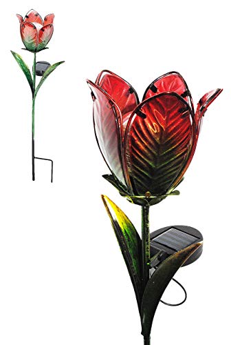 alles-meine.de GmbH Solar Leuchte Blume - Tulpe - rot & grün - mit LED Licht - handbemaltes Glas - Garten Wetterfest für Außen - Gartendeko Solarleuchte Solarbetrieben - Late.. alles-meine.de GmbH Solar Leuchte Blume - Tulpe - rot & grün - mit LED Licht - handbemaltes Glas - Garten Wetterfest für Außen - Gartendeko Solarleuchte Solarbetrieben - Late.. von alles-meine.de GmbH