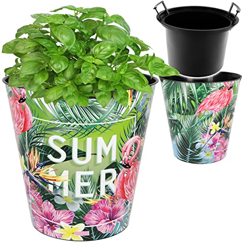 alles-meine.de GmbH universal Eimer/z.B. Blumentopf Modell wählbar 10 Liter - wasserdicht - 28 cm - aus Kunststoff - Flamingo - Blumen & Blüten & extra Einsatz - Papierko.. alles-meine.de GmbH universal Eimer/z.B. Blumentopf Modell wählbar 10 Liter - wasserdicht - 28 cm - aus Kunststoff - Flamingo - Blumen & Blüten & extra Einsatz - Papierko.. von alles-meine.de GmbH