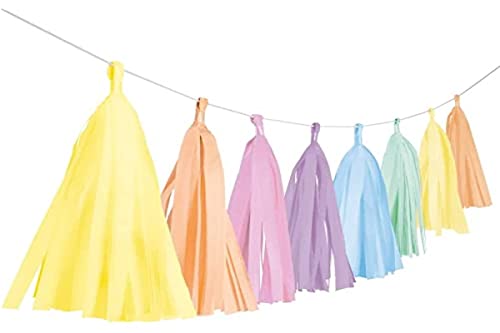 Amscan 9904613 - Fransengirlande Pastel Rainbow, Länge 3 m, Hängedekoration, Geburtstag, Mottoparty, Karneval Amscan 9904613 - Fransengirlande Pastel Rainbow, Länge 3 m, Hängedekoration, Geburtstag, Mottoparty, Karneval von amscan