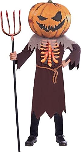 Amscan - Kinderkostüm Gruseliger Kürbis, Robe, Kürbis-Maske, Horrorkostüm, Skelett, Mottoparty, Karneval, Halloween Amscan - Kinderkostüm Gruseliger Kürbis, Robe, Kürbis-Maske, Horrorkostüm, Skelett, Mottoparty, Karneval, Halloween von amscan