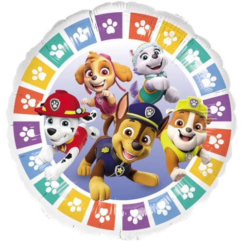 Amscan Anagram 4494775 – Paw Patrol Regenbogen Kinder Geburtstag Party Runder Folienballon – 45,7 cm von amscan