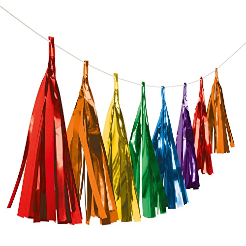 Amscan 9904614 - Fransengirlande Bright Rainbow, Länge 3 m, Hängedekoration, Geburtstag, Mottoparty, Karneval Amscan 9904614 - Fransengirlande Bright Rainbow, Länge 3 m, Hängedekoration, Geburtstag, Mottoparty, Karneval von amscan