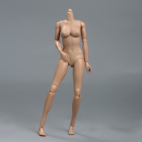 anso 1/6 Maßstab Suntan Skin Middle Chest Female Body Flexible Girl Actionfigur Modell (Grau) von anso