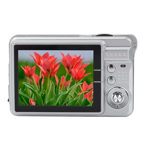 aqxreight 2,7 -Zoll -Bildschirm HD Toy Digital Videokamera mit Akku Ist von Qualitätskamera. (Silver) von aqxreight
