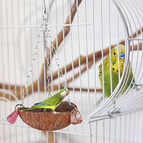 aqxreight Natürliche Kokosnussschalenhängekorb mit Acrylringen für Papageienvögel und Kleine Haustiere von aqxreight