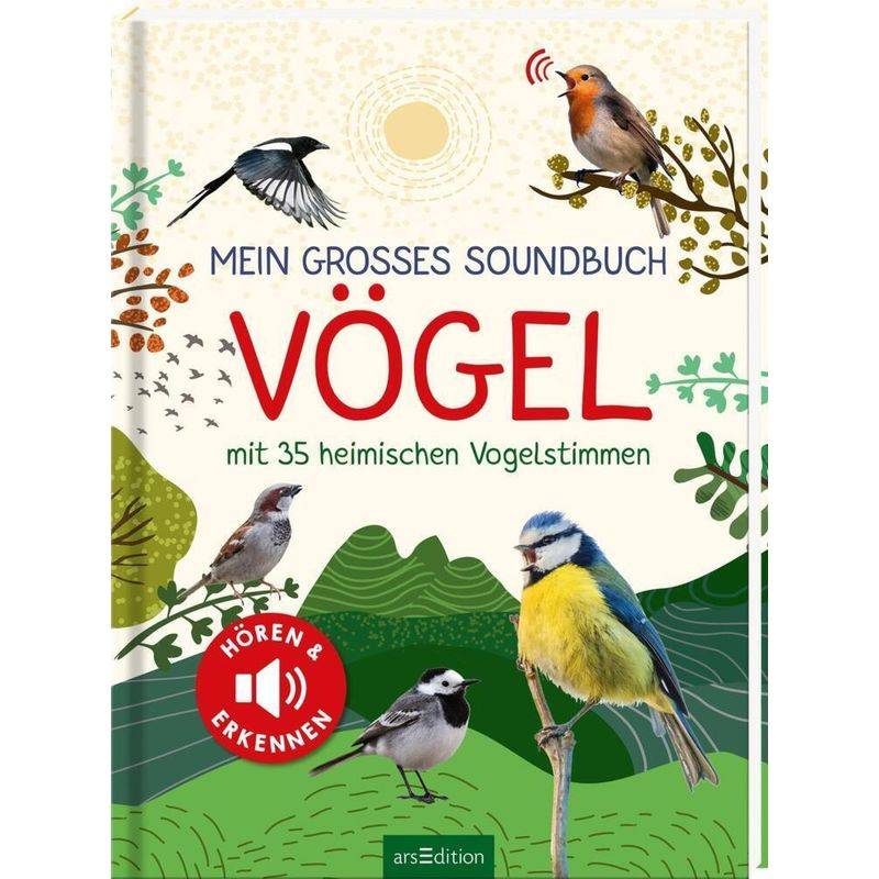 Mein großes Soundbuch Vögel von ars edition