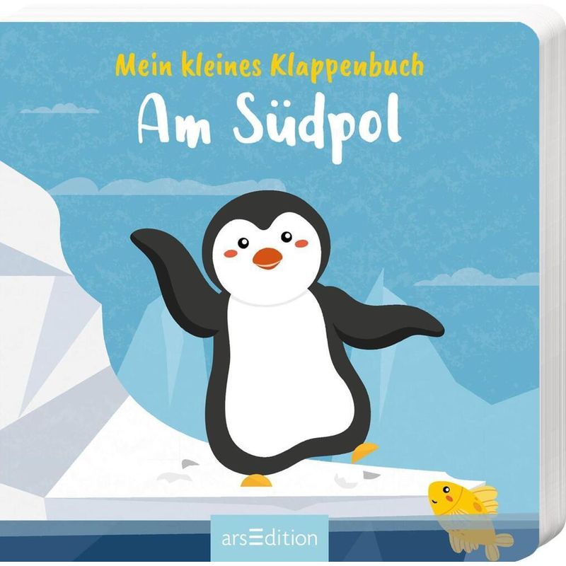 Mein kleines Klappenbuch - Am Südpol von ars edition