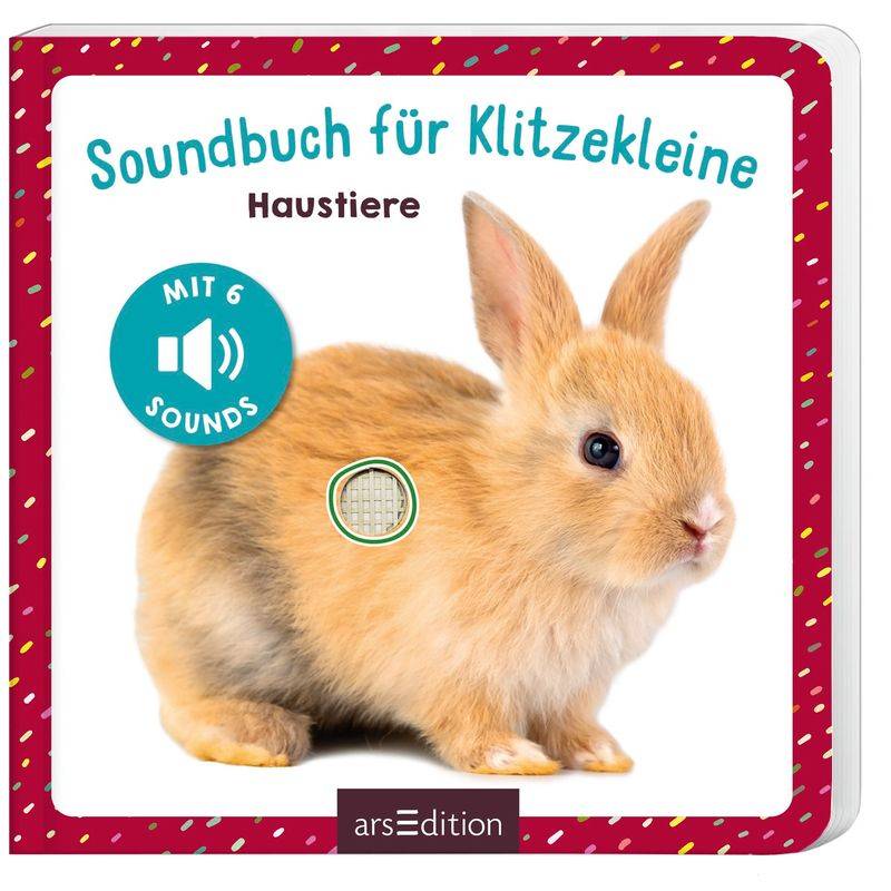 Soundbuch für Klitzekleine - Haustiere von ars edition