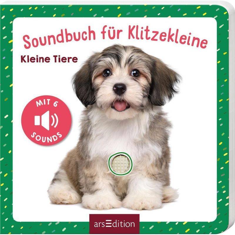 Soundbuch für Klitzekleine - Kleine Tiere von ars edition
