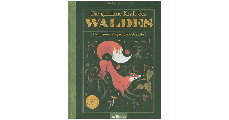 Buch - Die geheime Kraft des Waldes von arsEdition Verlag