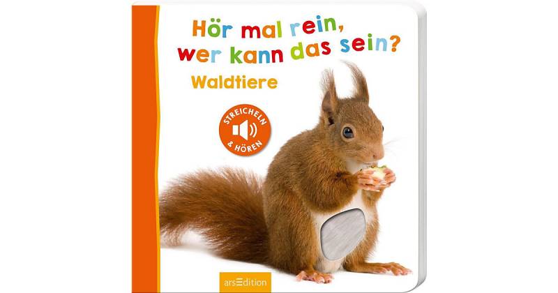 Buch - Hör mal rein, wer kann das sein? Waldtiere, Soundbuch mit Tiergeräuschen von arsEdition Verlag