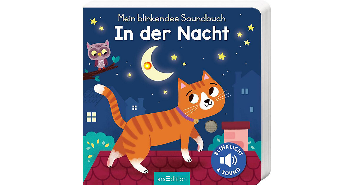 Buch - Mein blinkendes Soundbuch - In der Nacht Buch - Mein blinkendes Soundbuch - In der Nacht von arsEdition Verlag