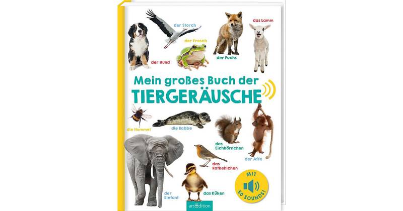 Mein großes Buch der Tiergeräusche, Soundbuch mit Tiergeräuschen von arsEdition Verlag