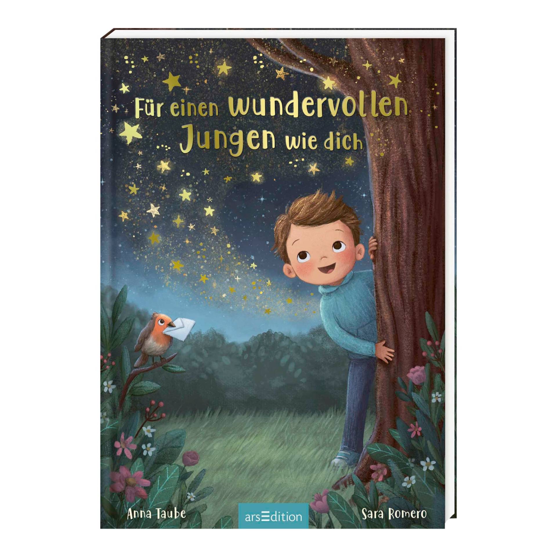 Arsedition Bilderbuch Für einen wundervollen Jungen wie dich Arsedition Bilderbuch Für einen wundervollen Jungen wie dich von arsEdition