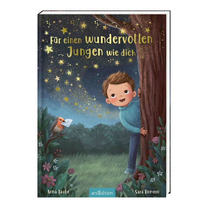 Arsedition Bilderbuch Für einen wundervollen Jungen wie dich Arsedition Bilderbuch Für einen wundervollen Jungen wie dich von arsEdition