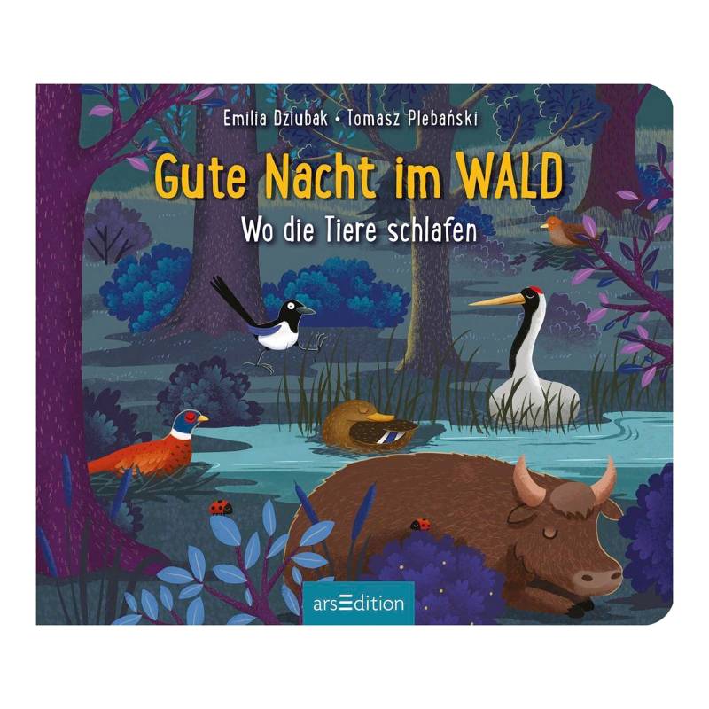 Arsedition Pappbilderbuch Gute Nacht im Wald von arsEdition