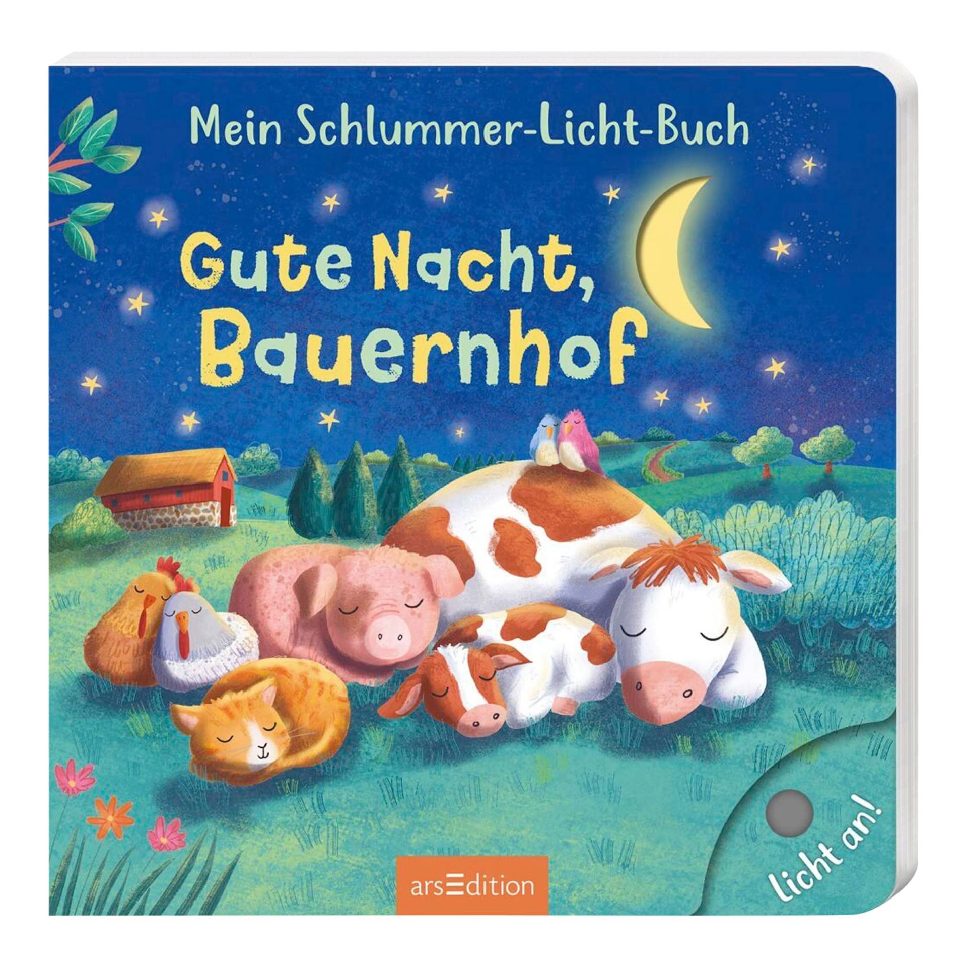 Arsedition Pappbilderbuch Mein Schlummer-Licht-Buch: Gute Nacht, Bauernhof Arsedition Pappbilderbuch Mein Schlummer-Licht-Buch: Gute Nacht, Bauernhof von arsEdition