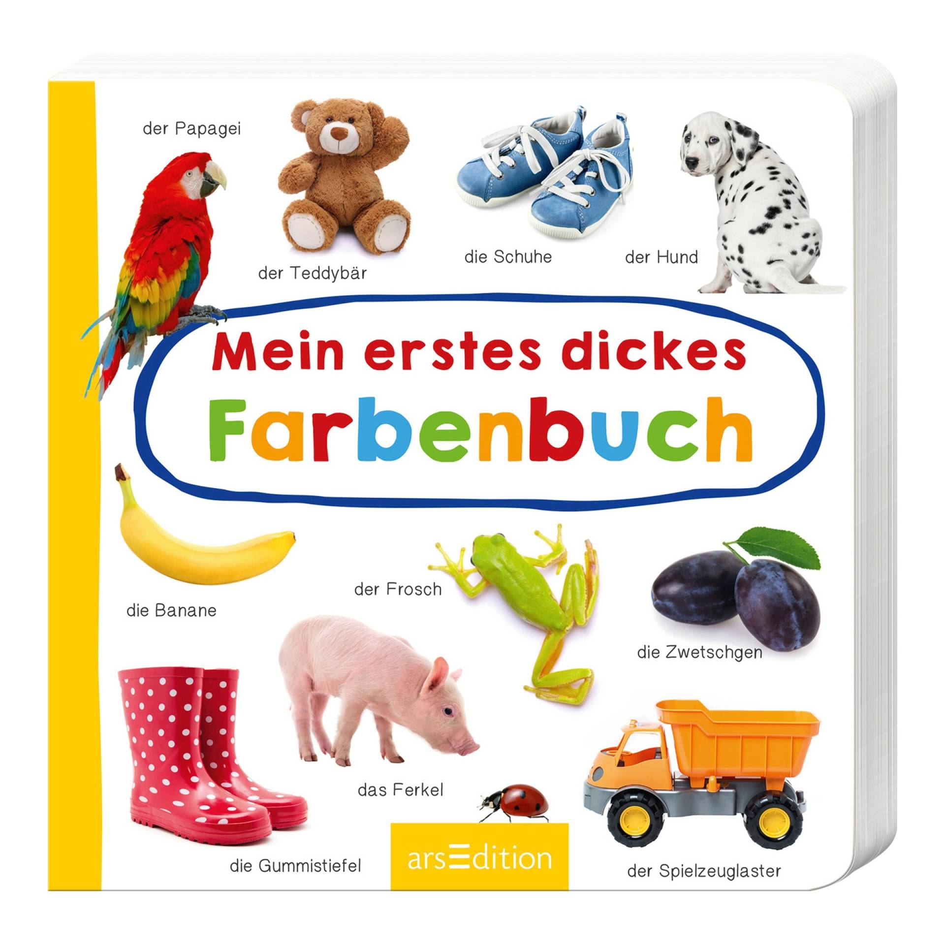 Arsedition Pappbilderbuch Mein erstes dickes Farbenbuch von arsEdition