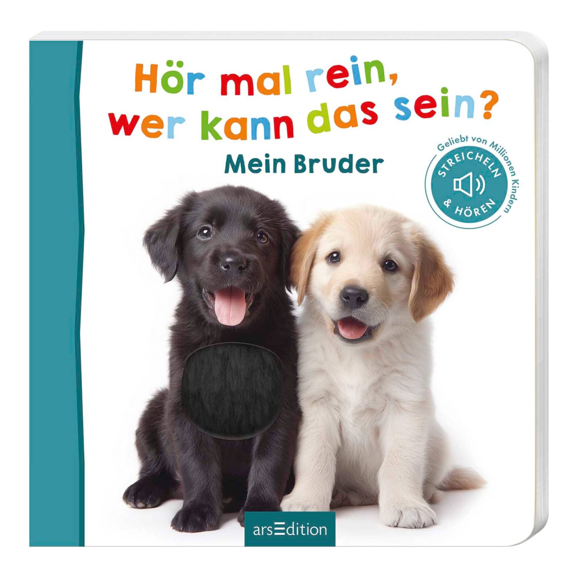 Arsedition Soundbilderbuch Hör mal rein, wer kann das sein? - Mein Bruder Arsedition Soundbilderbuch Hör mal rein, wer kann das sein? - Mein Bruder von arsEdition