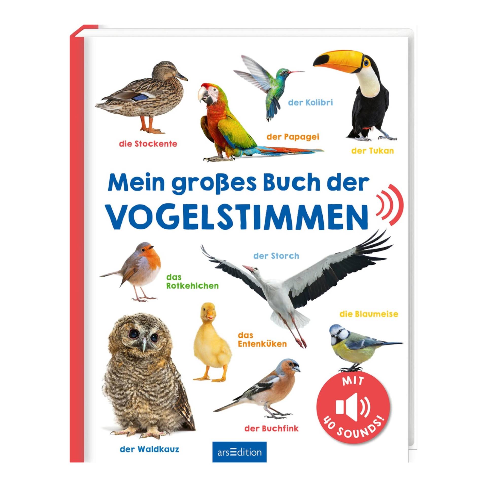 Arsedition Soundbilderbuch Mein großes Buch der Vogelstimmen von arsEdition