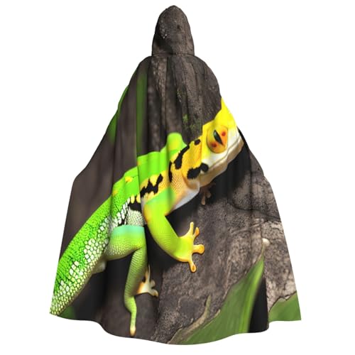 axzttupy Grüner Geckos-Aufdruck, Erwachsenenkostüm, mit Kapuze, Halloween, Weihnachten, Karneval, Partys, Mittelalter-Kostüm axzttupy Grüner Geckos-Aufdruck, Erwachsenenkostüm, mit Kapuze, Halloween, Weihnachten, Karneval, Partys, Mittelalter-Kostüm von axzttupy