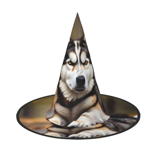 axzttupy Niedlicher Huskys Druck Halloween Hexenhut Unisex Karneval Kostüm Zubehör Partys Cosplay und Festlich von axzttupy
