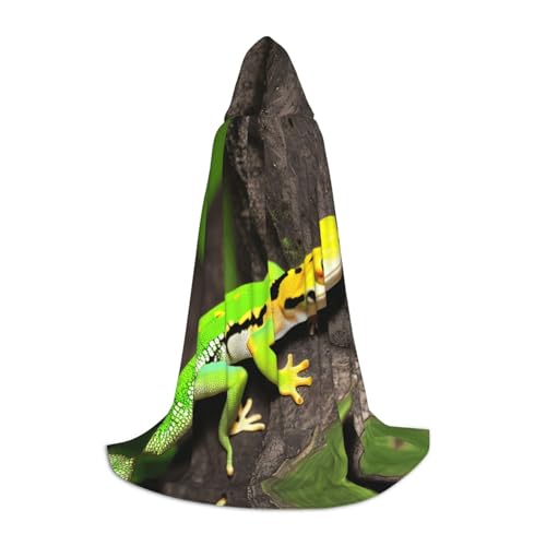 axzttupy Umhang mit grünem Geckos-Druck, Unisex, mit Kapuze, volle Länge, für Zauberer, Weihnachten, Karneval, Halloween, Cosplay von axzttupy