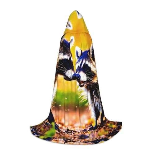 axzttupy Unisex Kapuzenumhang mit süßem Waschbär-Druck, für Zauberer, Weihnachten, Karneval, Halloween, Cosplay axzttupy Unisex Kapuzenumhang mit süßem Waschbär-Druck, für Zauberer, Weihnachten, Karneval, Halloween, Cosplay von axzttupy