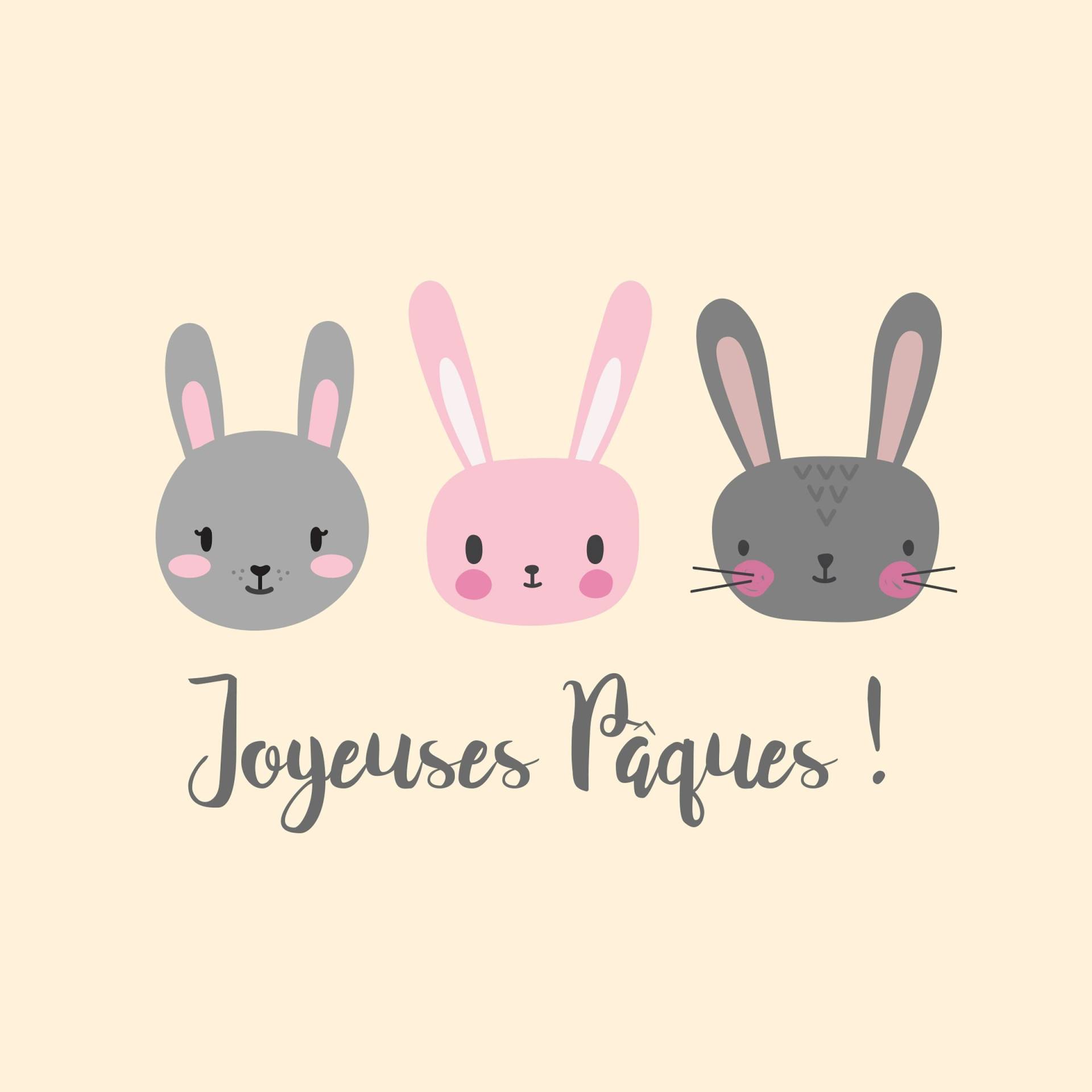 Baby-Walz Geschenkgutschein von baby-walz