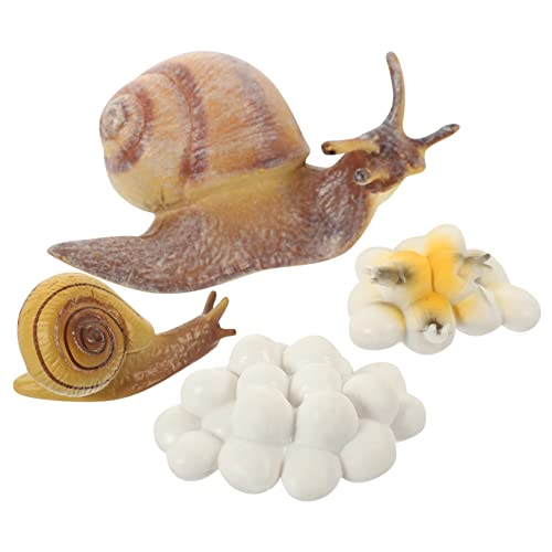 Balacoo Snail Growth Cycle Modelle Lernspielzeug Realistische Schnecken Lebenszyklus Figuren aus Sicherem Kunststoff Pädagogisches Teiliges für Frühe Biologieerziehung Zufälliger Stil von balacoo