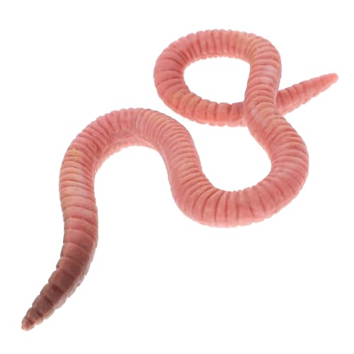 balacoo Realistisches Regenwurm Modell Simulation Erde Wurm Figurine Pädagogisches Kunststoff Insekten Tiermodell für Garten und Desktop Dekoration Lebensechte Lernhilfe von balacoo