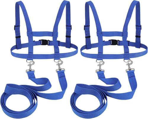 2 Stück Pferdeleine zum Spielen für Kinder,Leine für Kinder，Größenverstellbare Pferdeleine,Pferdegeschirr Leine für Jungen und Mädchen (Blau) von bechoanigel