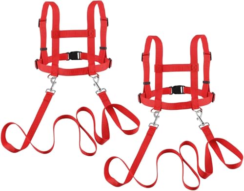 bechoanigel 2 Stück Pferdeleine zum Spielen für Kinder,Leine für Kinder，Größenverstellbare Pferdeleine,Pferdegeschirr Leine für Jungen und Mädchen (Rot) von bechoanigel