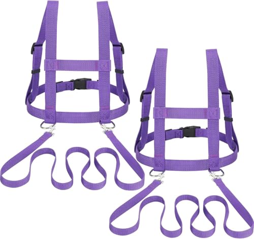 bechoanigel 2 Stück Pferdeleine zum Spielen für Kinder,Leine für Kinder，Größenverstellbare Pferdeleine,Pferdegeschirr Leine für Jungen und Mädchen (Violett) von bechoanigel