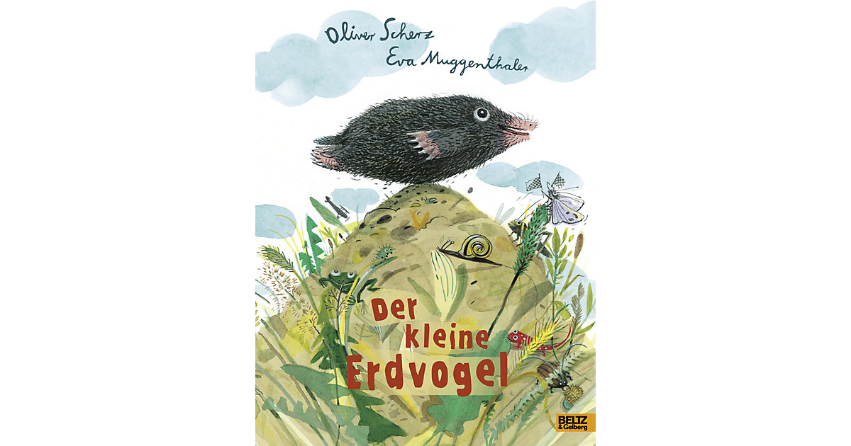 Buch - Der kleine Erdvogel Buch - Der kleine Erdvogel von beltz verlag