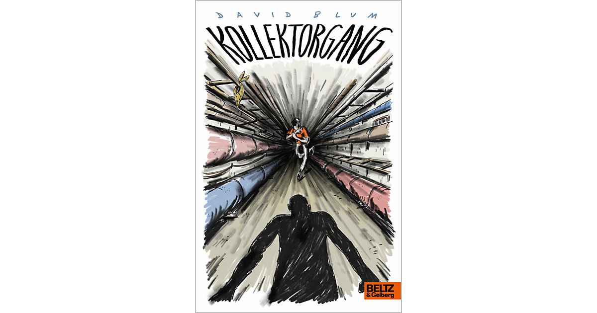 Buch - Kollektorgang Buch - Kollektorgang von beltz verlag