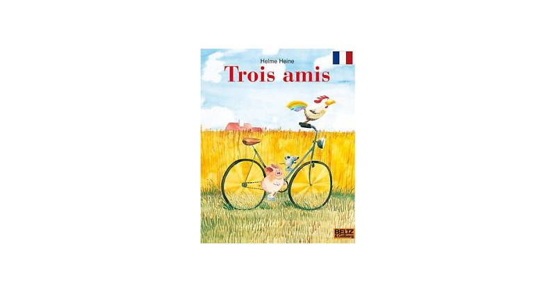 Buch - Trois amis - Freunde, französische Ausgabe von beltz verlag