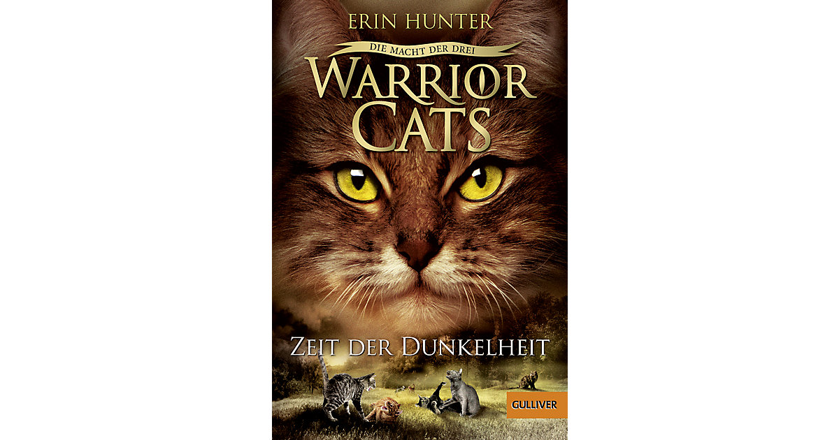 Buch - Warrior Cats - Die Macht der drei: Zeit der Dunkelheit, Staffel III, Band 4 von beltz verlag