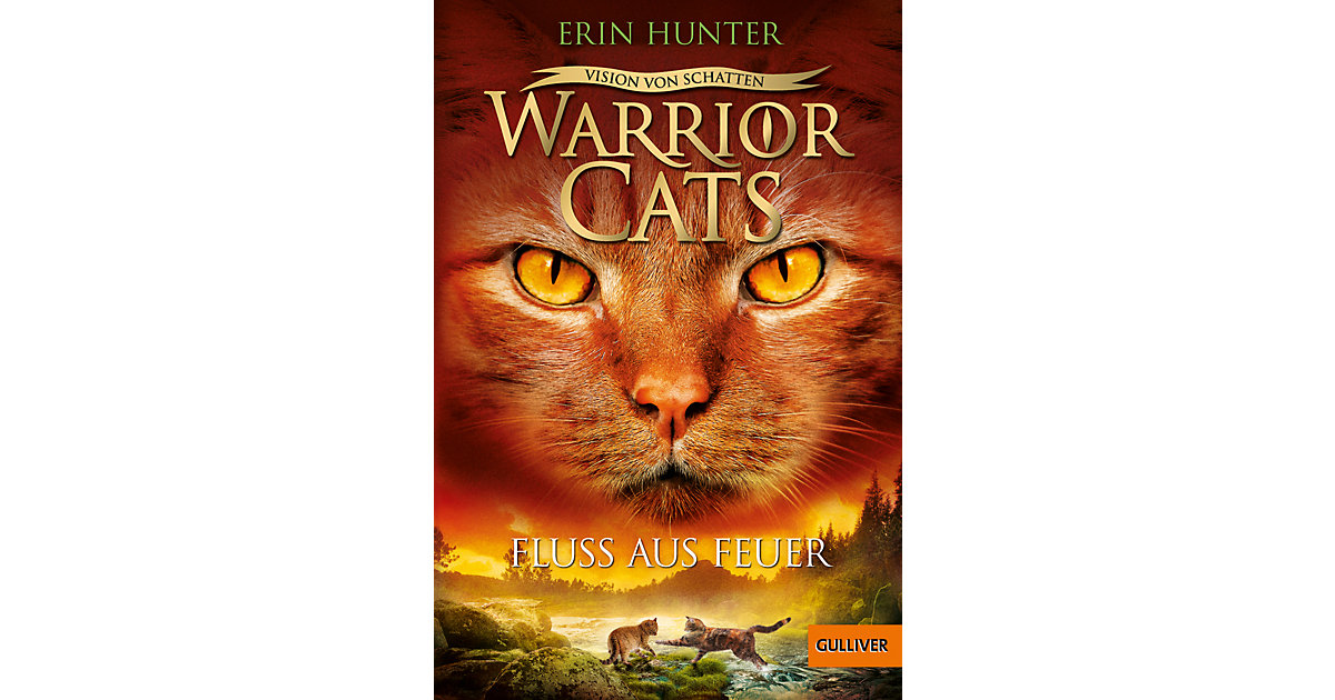 Buch - Warrior Cats - Vision von Schatten. Fluss aus Feuer Buch - Warrior Cats - Vision von Schatten. Fluss aus Feuer von beltz verlag