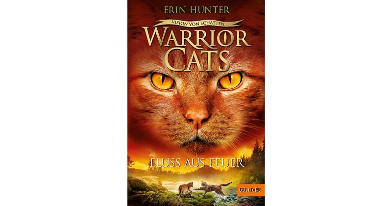 Buch - Warrior Cats - Vision von Schatten. Fluss aus Feuer von beltz verlag