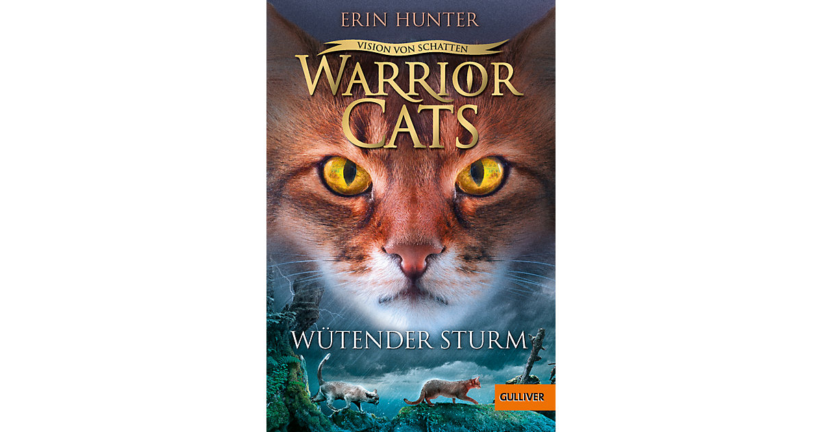 Buch - Warrior Cats - Vision von Schatten. Wütender Sturm von beltz verlag