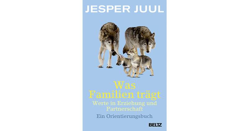 Buch - Was Familien trägt: Werte in Erziehung und Partnerschaft von beltz verlag