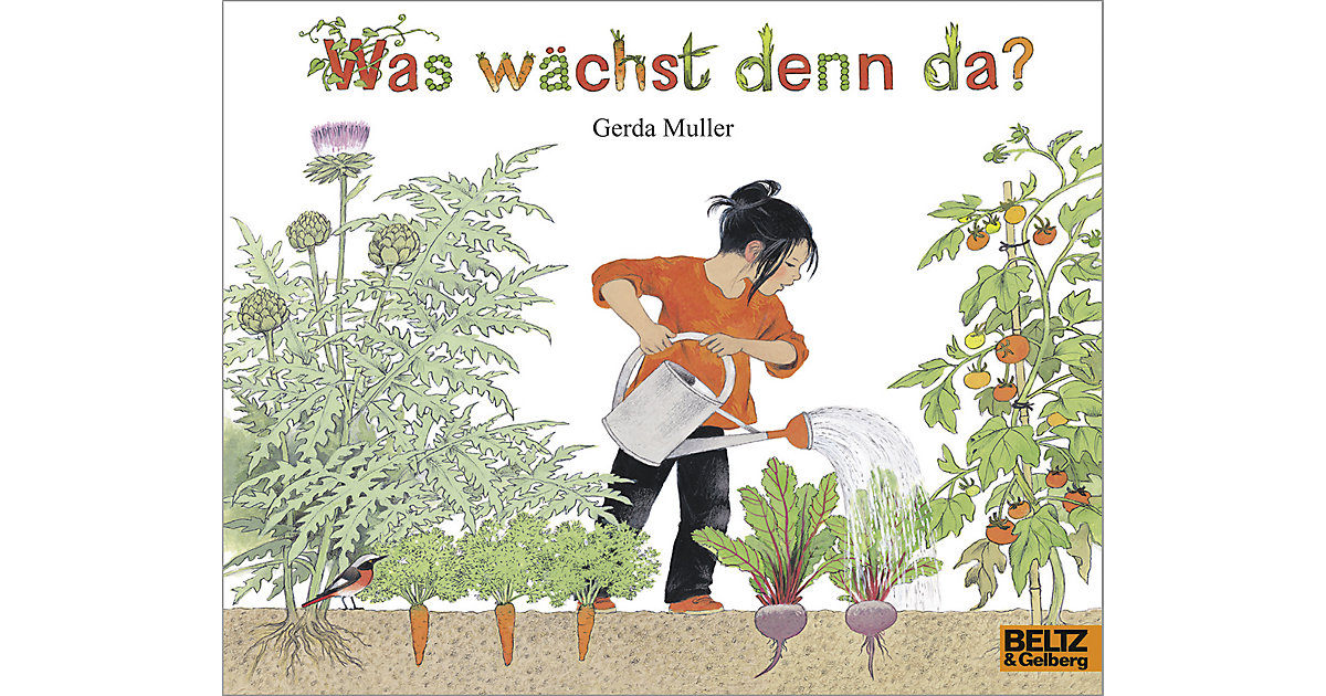Buch - Was wächst denn da? Buch - Was wächst denn da? von beltz verlag