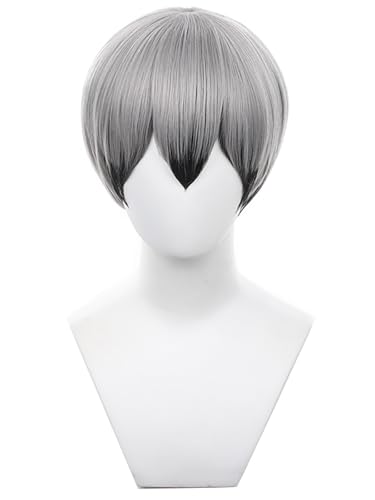 bi bi hou Haikyuu Shinsuke Kita Cosplay Perücke Silber Schwarz Kurze Anime Haikyuu Verkleidung Shinsuke Kita Wig Halloween Karneval Party Kostüm Zubehör Anime Perücke Erwachsene bi bi hou Haikyuu Shinsuke Kita Cosplay Perücke Silber Schwarz Kurze Anime Haikyuu Verkleidung Shinsuke Kita Wig Halloween Karneval Party Kostüm Zubehör Anime Perücke Erwachsene von bi bi hou