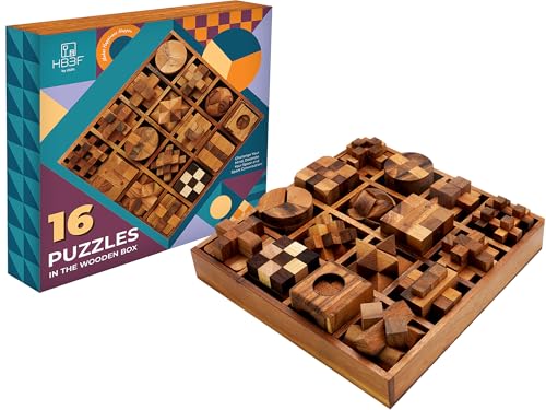 BSIRI Teaser Games for Adults Cube Teasers Mind Teasers Toy Challenging Games Toys Office Table Decor for Adults and Kids Wooden Game Box Set (16 Games)
