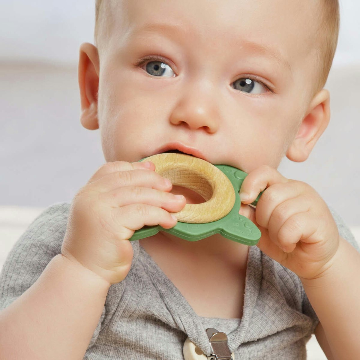 Bio-Beißtier Schildkröte