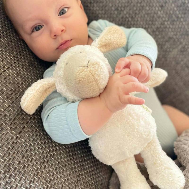 Bio Kuscheltier Schaf ab Geburt 27 cm Bio Kuscheltier Schaf ab Geburt 27 cm